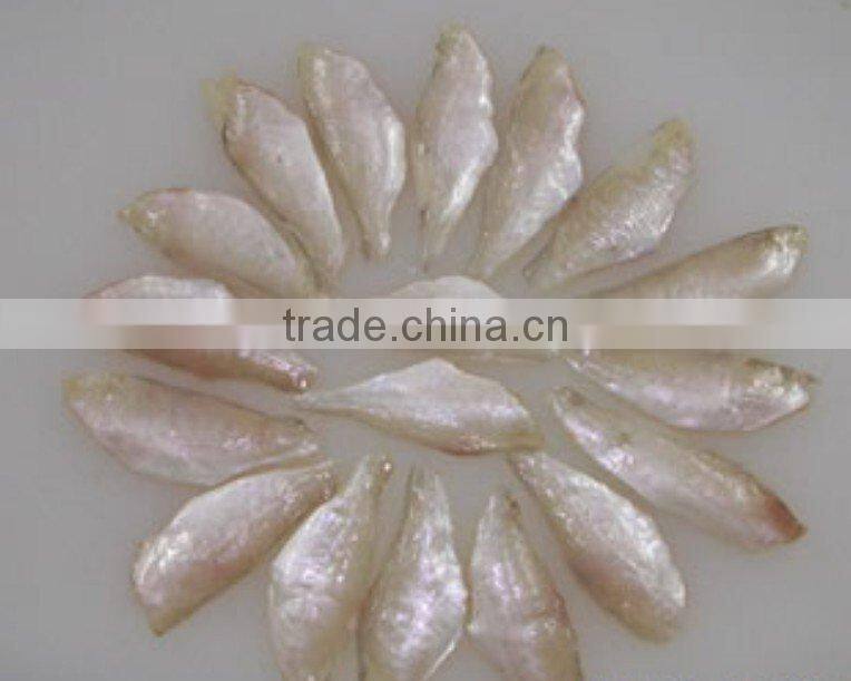 Frozen Leather Jacket Fish