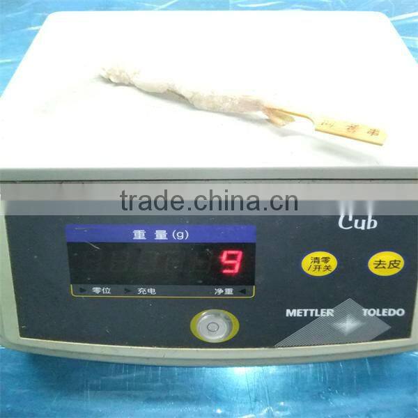 IQF breaded frozen shrimp wholesale