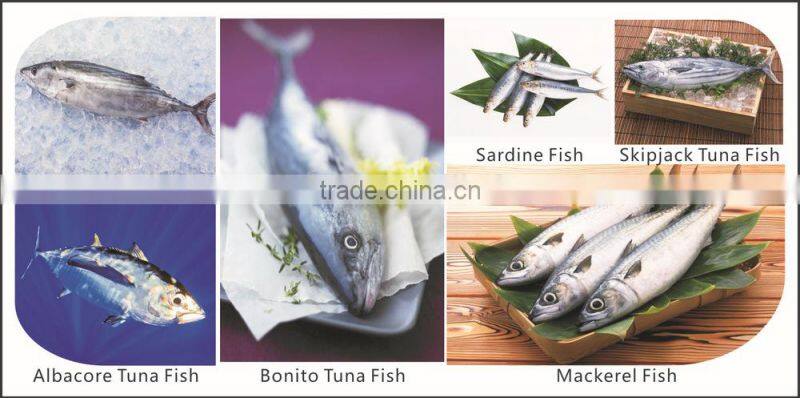 New Coming Products Frozen Yellowfin Tuna Loin