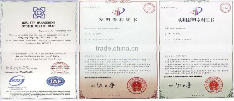 Zhejiang zhuji iso certified chain factory b series alloy steel machine parts roller chain drives