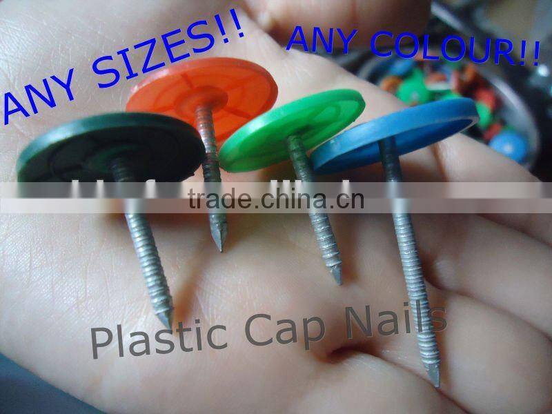 round plastic cap nail china supplier on sale