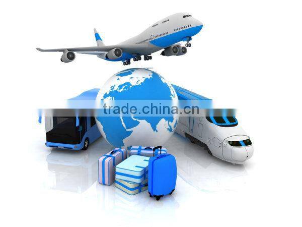 pine wood divided box with clear lid