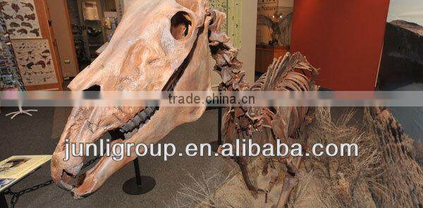 JLDF-G-0020 Artificial Hot Sell Realistic Horse Skeleton