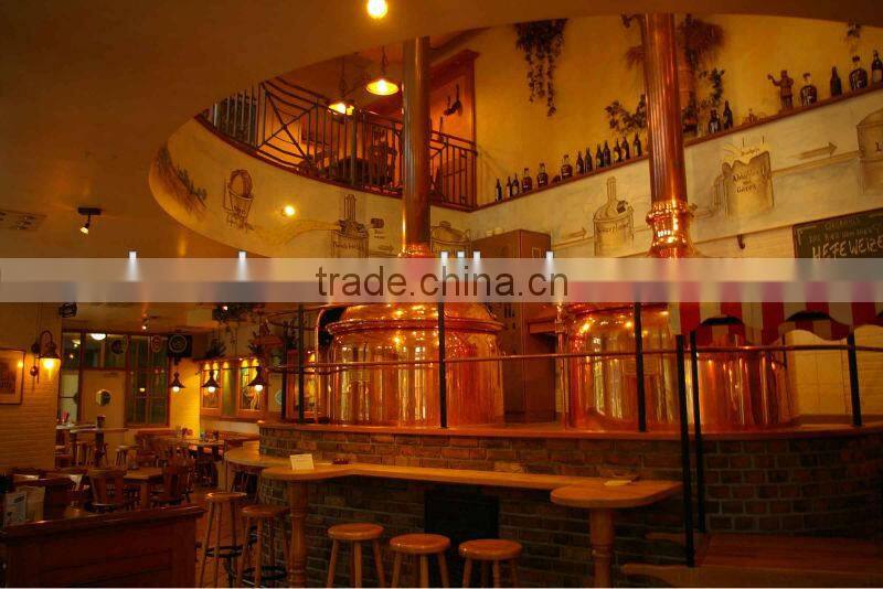 Small red copper home & Bar-brewery equipment, Turnkey home brewery plant,Stainless conical fermenter for brewing system,
