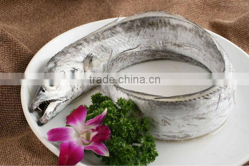 Frozen Ribbon fish WR