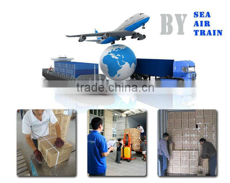 750/850W Professional Electric Motor Water Pump