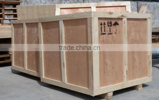 Double chamber vacuum packager