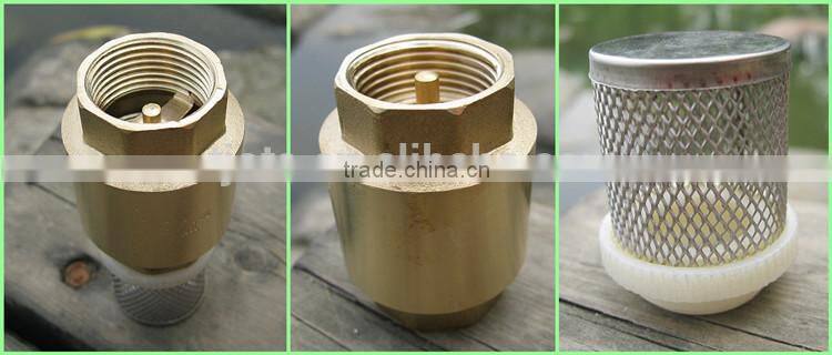 CV-DS008 ISO 228 brass check valve with filter