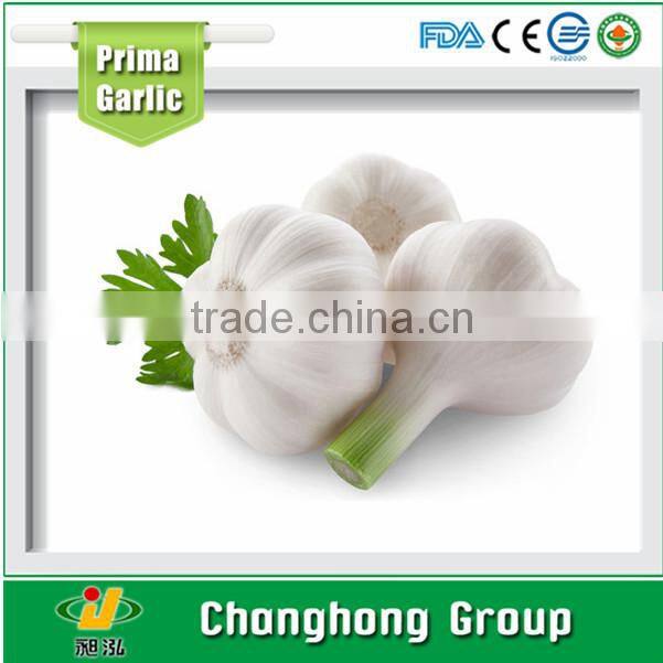 hot sale mesh bag packing 5.0cm garlic