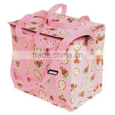 cooler bag for frozen food/dog food bags/refrigerated cooler bags