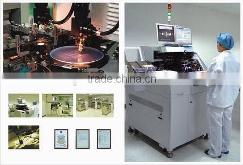 Blue LED Strip light with SMD 5050/3528/3014/2835/5630