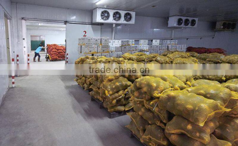 2015 fresh harvest Pueraria lobata arrow root