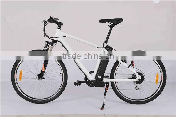 Mountain electric bike
