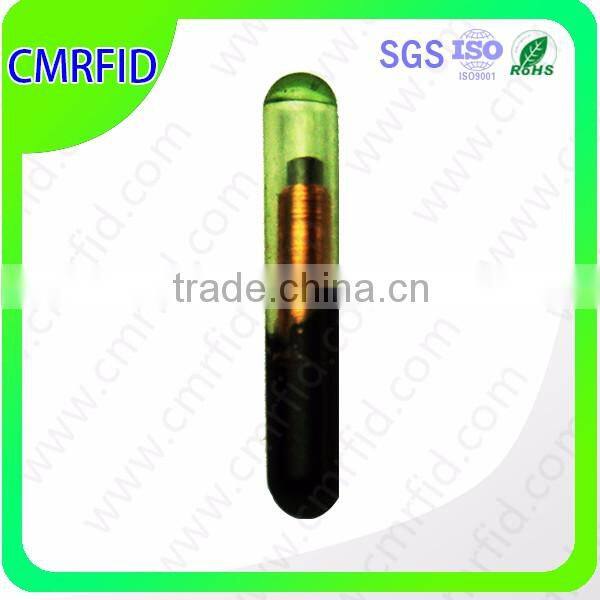 Identifications Applications Small Pet RFID Glass Tag