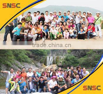 SNSC parts,XCMG GR180,SUPPORT FUSEE ENCIEN ,001210016,support