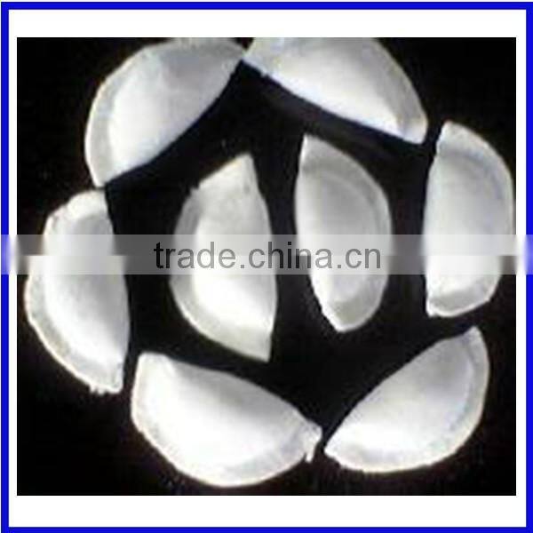 JGL120 Automatic Ravioli Making Machine