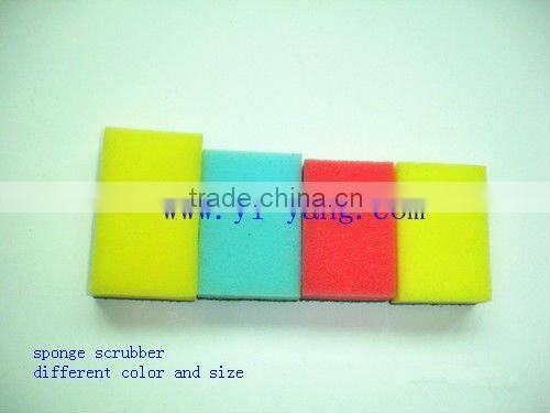 sponge scour