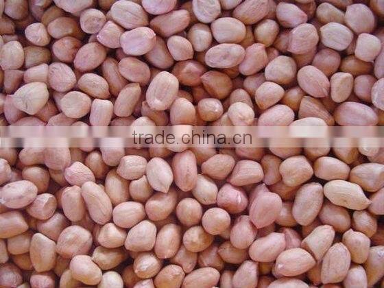 Farmer Specialized Cooperative Organization Direct sales of 2012 Blanched peanut kernels(25/29),