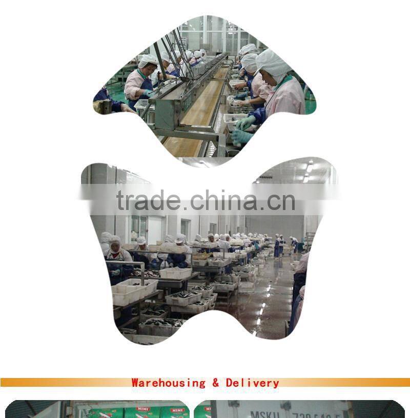 mackerel fresh fish in tomato sauce