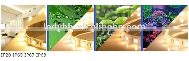 DC5V 60leds full color ws2812 digital led tape