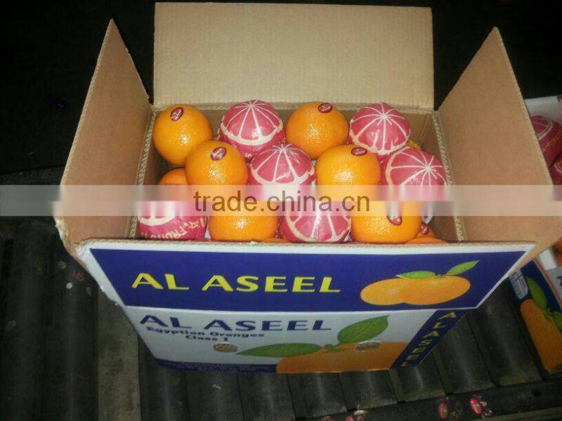 Golden Fresh Citrus Navel And Valencia ORANGE