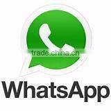 Fresh cut Chrysanthemums flower