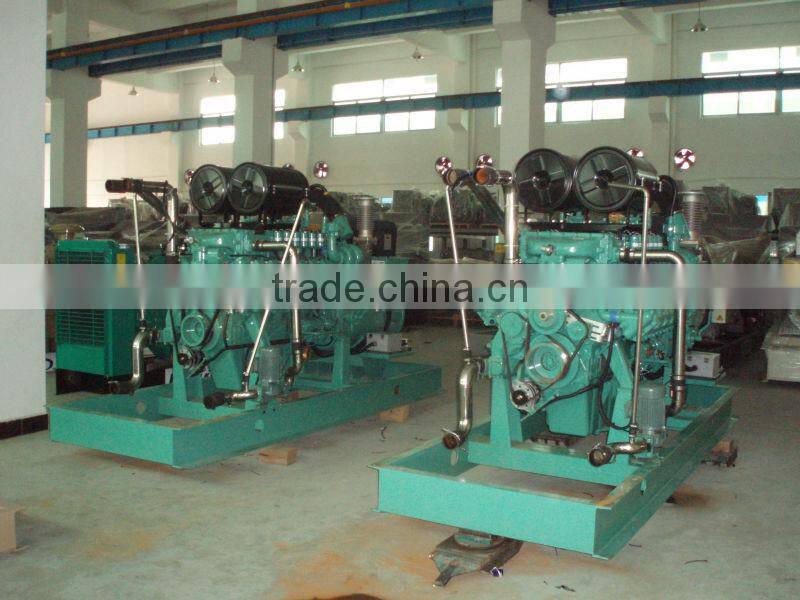 Camda Doosan Daewoo gas generator set 300KW/ gas power plant/MW natural gas genset