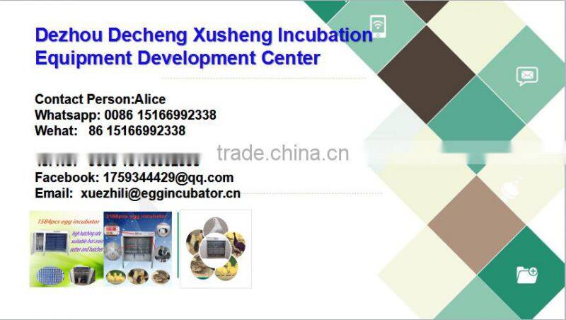 New designed Full automatic 48 egg incubator CE approved mini incubator prices india