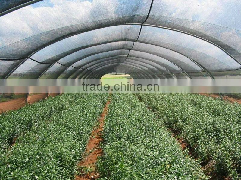 Greenhouse vegetables Garden Shade Nets
