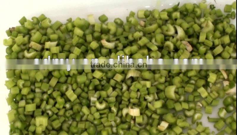 stainless steel material automatic multi vegetable cutter