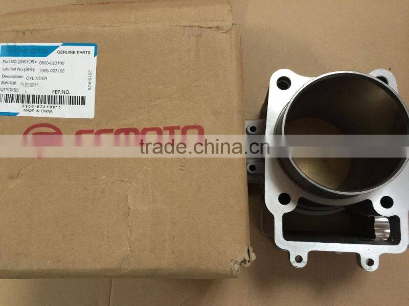 CFMOTO 600cc Cylinder 0600-023100 for X6, Z6