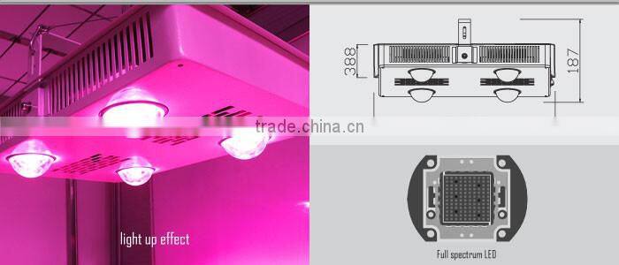 Professioanl grow light bulbs 600W led grow light bulbs