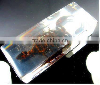 Acrylic resin scorpion paperweight wholesale