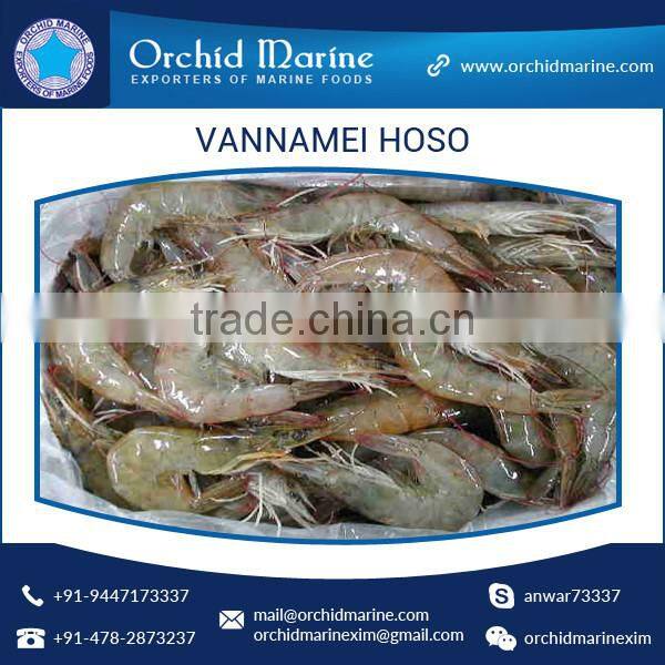 Trusted Supplier of High Quality Delicious, Healthy, Natural, Shrimp Vannamei
