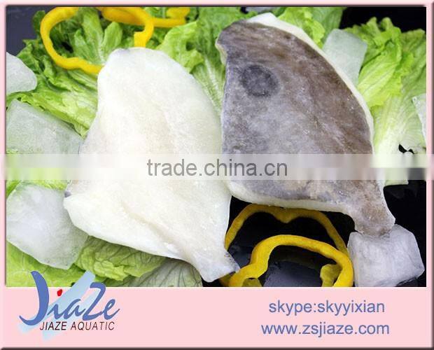IQF Frozen John Dory fish fillet PBO PBI