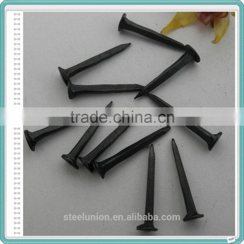 Blue Shoe Tack Nails Factory