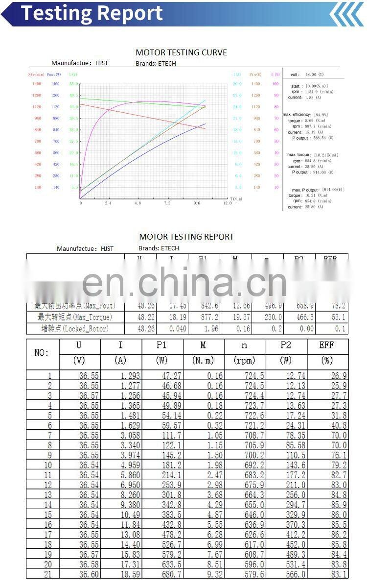 10 Inch 250W 350W 500W 800W Wheel Hub Motor