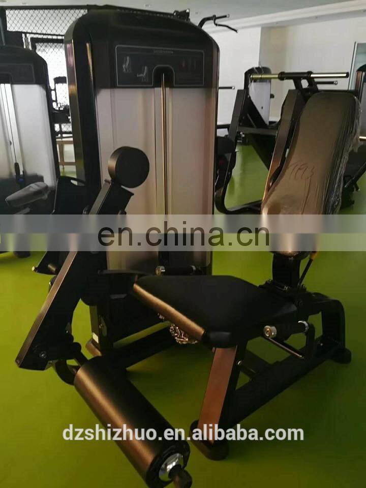 Body building gym equipment Leg Extension PN12