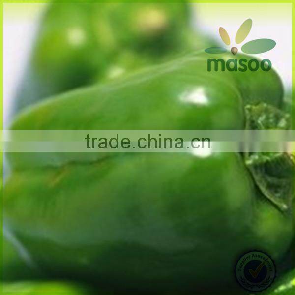 fresh green cayenne peppers export price