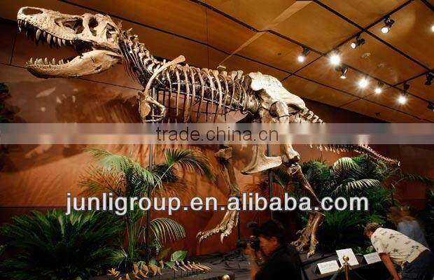 JLDF-G-0036 Life Size Realstic Dinosaur Skeleton Model