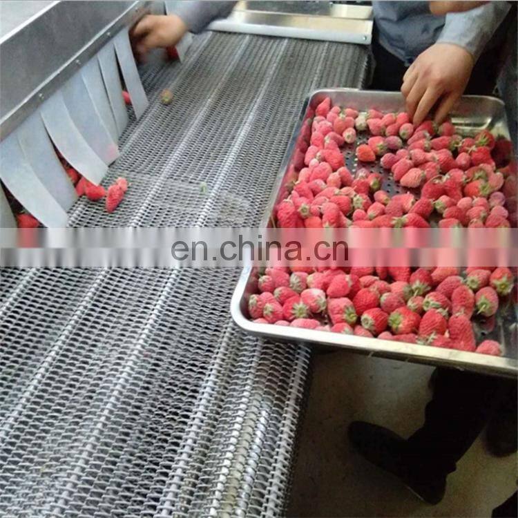Factory Price Shrimp Fast Freezing Machine/ Sea Food Quick Freezer/ Fish Instant Frozen Machine