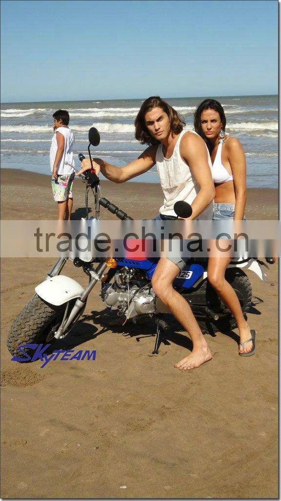 SKYTEAM 125CC 4 STROKE ST125-11 RV T-REX (EEC, EUROIII EURO 3 EPA approved)