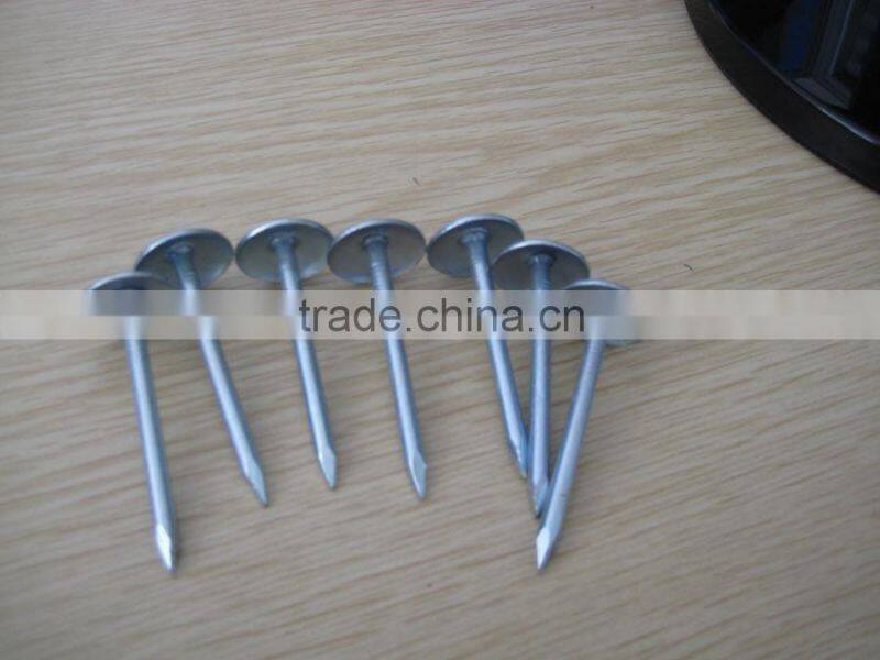 galvanized roofing nails with umbrella head/umbrella head nails /galvanzied roofing nail