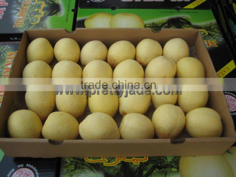 Chinese fresh Ya pear