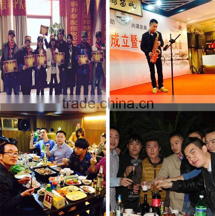 SCL-2012040367 FXD Motorcycle Brake Disc Pad