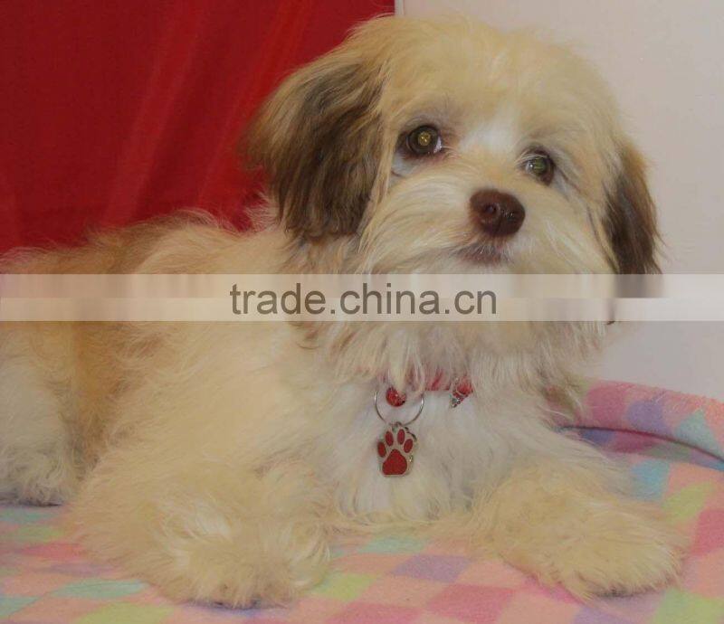 metal key tag, metal key chain, zinc alloy keyholder