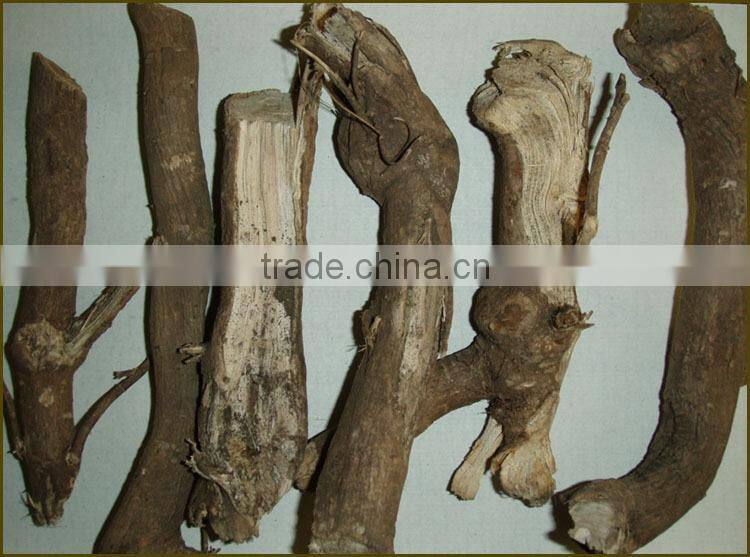 100% Natural Siberian Ginseng Extract,Siberian Ginseng Extract 0.8%/1.2% Eleutheroside B+E,0.8%/1.2% Eleutheroside B+E'