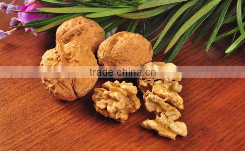 high quality almond/walnut sheller and kernel separator machine,hard walnut shell removing machine