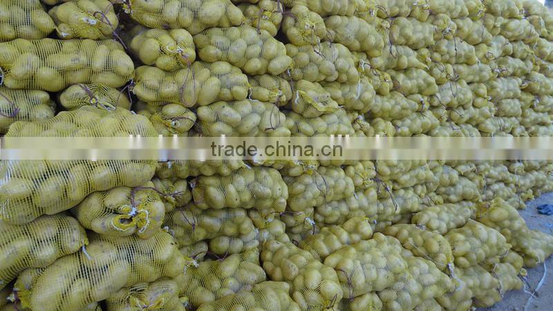 fresh potato for sale/fresh high quality potato hot sale (75-100gram)(100-150gram)(150-250gram up)