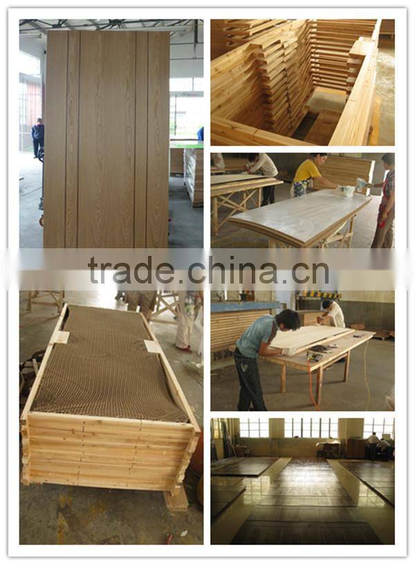 Wall mounted Interior Flush Sliding Doors for Bathroom